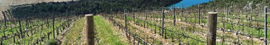 HIT Dalmatia Travel Agency